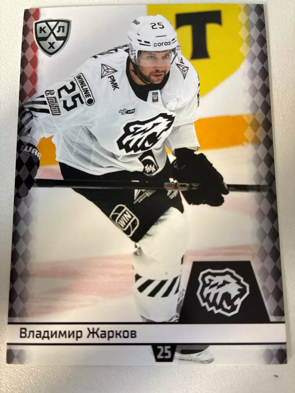 Хоккей. Владимир Жарков