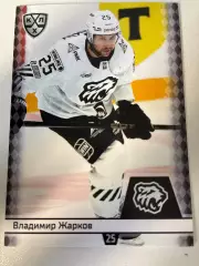 Хоккей. Владимир Жарков