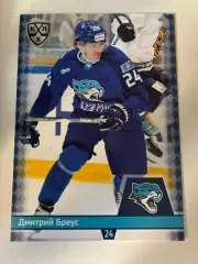 Хоккей. Дмитрий Бреус