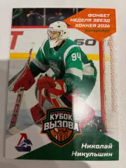 Хоккей. Николай Никульшин