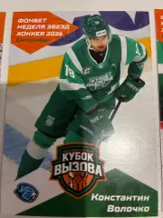 Хоккей. Константин Волочко