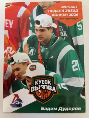 Хоккей. Вадим Дудоров