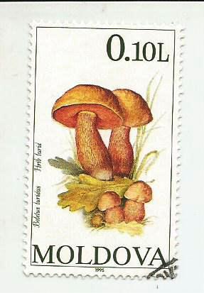 марка. почта Молдовы. Грибы. гашеная