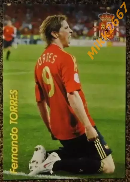 Fernando TORRES / Фернандо ТОРРЕС, В мире ФУТБОЛА- Е137 Эф