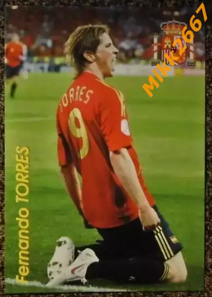 Fernando TORRES / Фернандо ТОРРЕС, В мире ФУТБОЛА- Е137 Эф