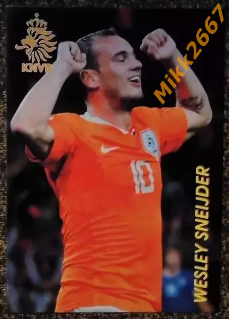 Wesley SNEIJDER / Уэсли СНАЙДЕР, В мире ФУТБОЛА- Е144Эф