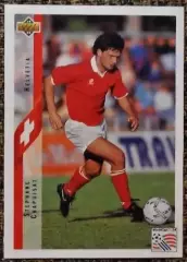 Stephane CHAPUISAT. Коллекция Upper Deck Чемпионат Мира США 1994