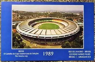 ESTADIO MARIO FILHO - RIO DE JANEIRO (Бразилия) / GT-09