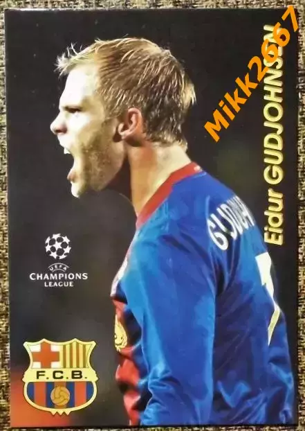 Eidur GUDJOHNSEN / Эйдур ГУДЬОНСЕН, В мире ФУТБОЛА- 33 Эф