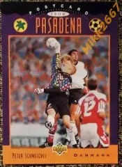 Peter SCHMEICHEL. Коллекция Upper Deck Чемпионат Мира США 1994