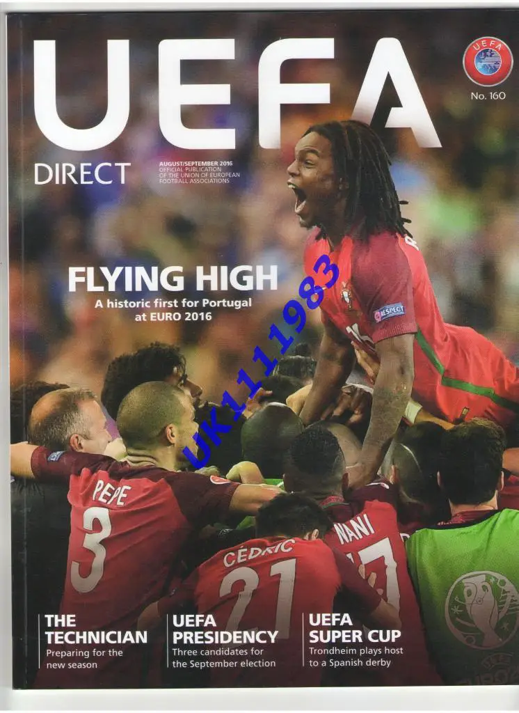 УЕФА 2016 результат соревнований ЕВРО 2016