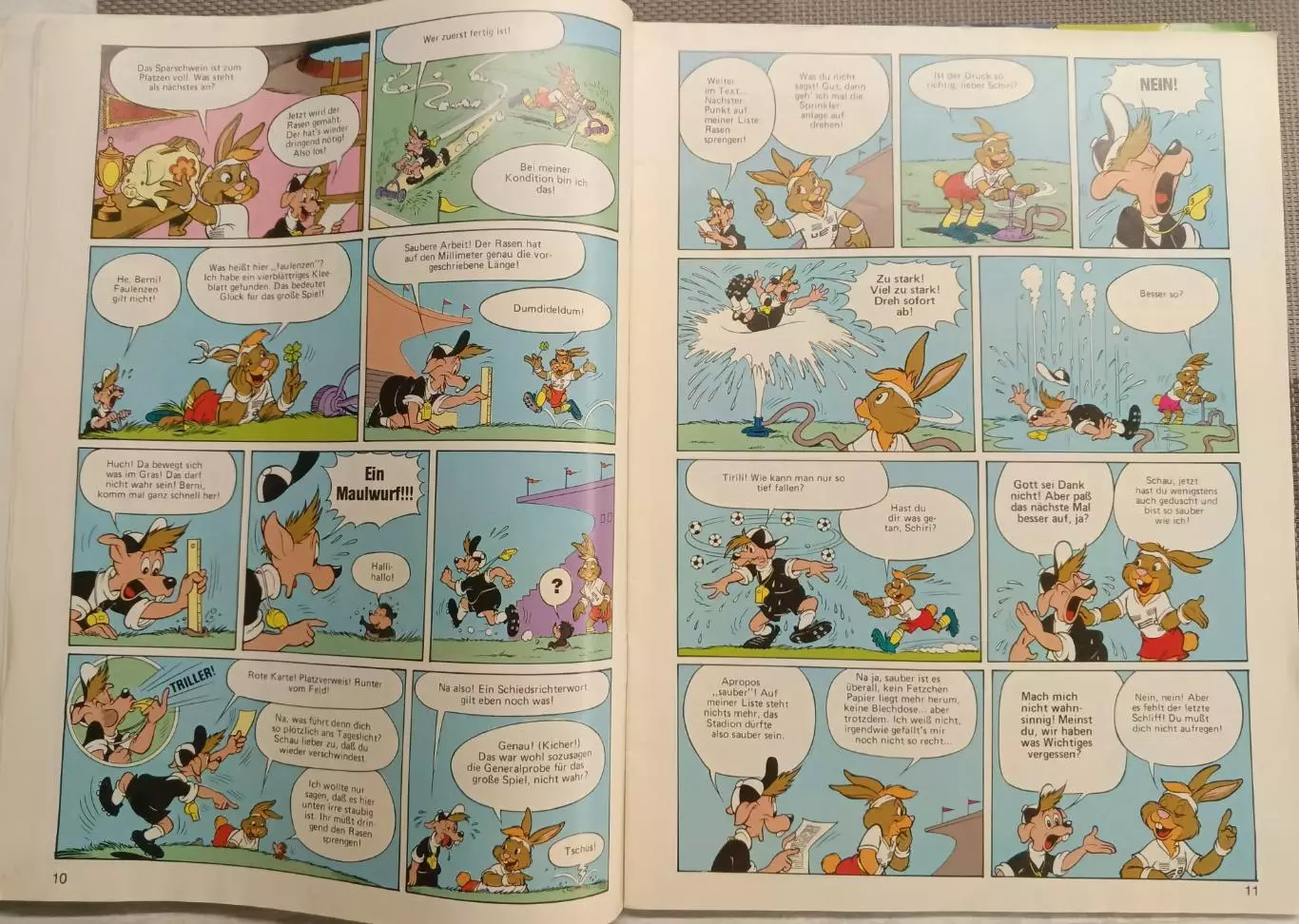 Журнал BERNI. Два номера на разных языках. 5