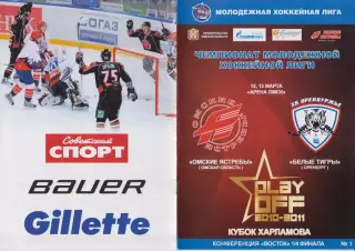 Омские ястребы(Омск) - Белые тигры(Оренбург) - 2010/11 - ПО