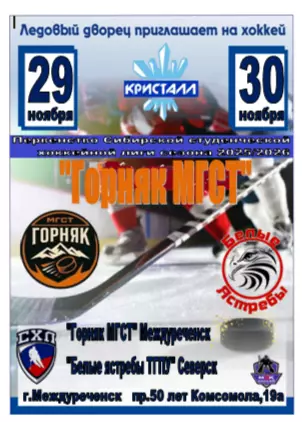 Горняк МГСТ(Междуреченск) - Белые ястребы ТГПУ(Северск) - 2025/26