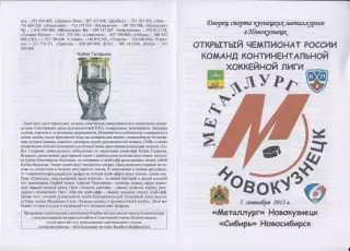 Металлург(Новокузнецк) - Сибирь(Новосибирск) - 2013/14