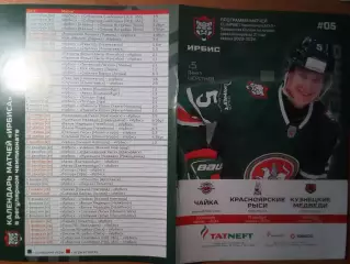 Ирбис(Казань)- Чайка(Нижний Новгород) / Красноярские рыси / Новокузнецк- 2023/24