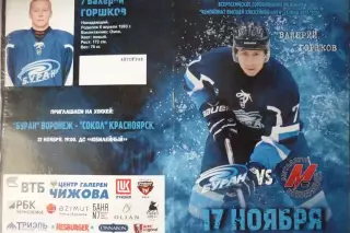 Буран(Воронеж) - Металлург(Новокузнецк) - 2017/18