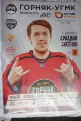 Горняк(Верхняя Пышма) - Металлург(Новокузнецк) - 2022/23 - ПО
