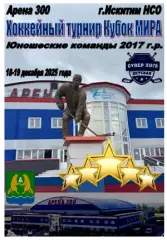Турнир Кубок МИРА среди юношей 2017 г.р.(Искитим) - 2025 - декабрь