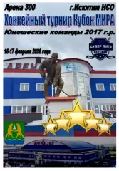 Турнир Кубок МИРА среди юношей 2017 г.р.(Искитим) - 2026 - февраль