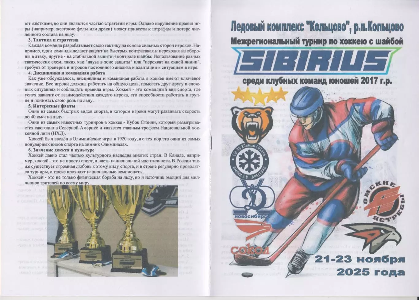 Турнир Сибириус среди юношей 2017 г.р.(Кольцово) - 2025 - ноябрь