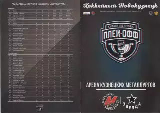 Металлург(Новокузнецк) - Звезда(Москва) - 2018/19 - ПО