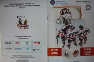 Белые медведи(Челябинск) - Кузнецкие медведи(Новокузнецк) - 2013/14