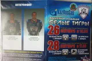 Белые тигры(Оренбург) - Кузнецкие медведи / Кристалл(Бердск) - 2014/15