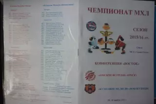 Омские ястребы(Омск) - Кузнецкие медведи(Новокузнецк) - 2015/16