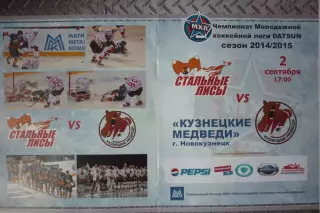 Стальные лисы(Магнитогорск) - Кузнецкие медведи(Новокузнецк) - 2014/15