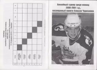 Турнир памяти Алексея Черепанова среди юношей 2000-2001 г.р.(Барнаул) - 2010