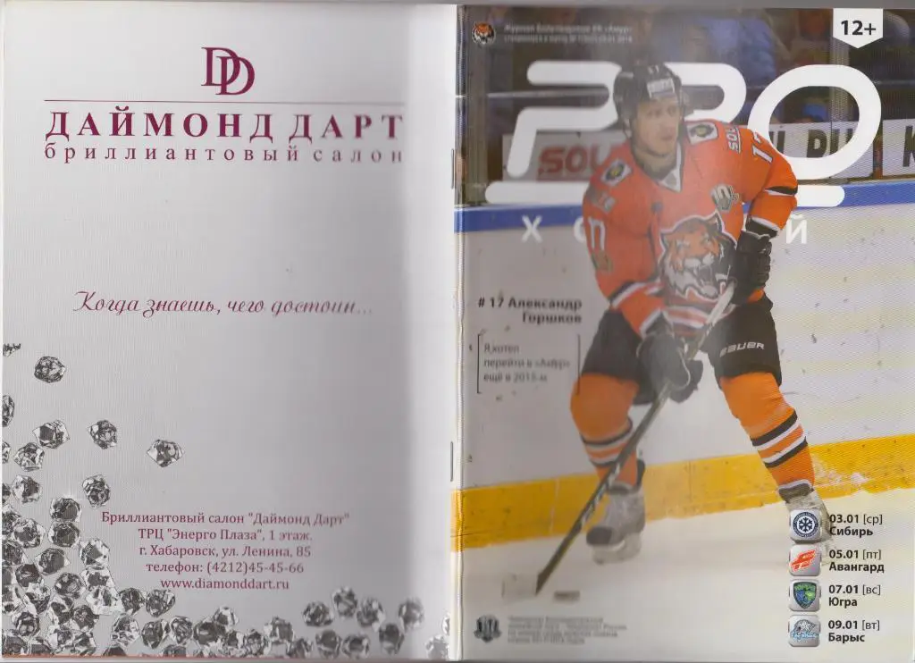 Амур(Хабаровск) - Сибирь(Новосибирск) / Авангард(Омск) / Югра / Барыс - 2017/18