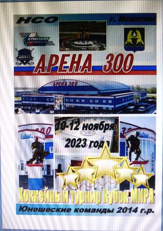 Турнир Кубок МИРА среди детей 2014 г.р.(Искитим) - 2023 - ноябрь