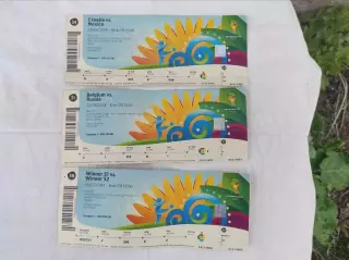 5 билетов с мундиаля 2014, Бразилия