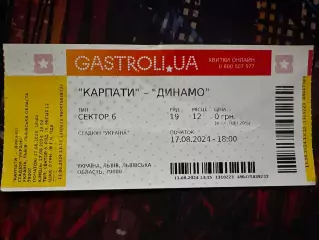 Карпати-Динамо 17.08.2024(Обмін)