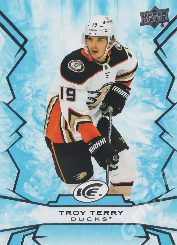 2022-23 Upper Deck Ice Hockey Troy Terry (Anaheim Ducks)