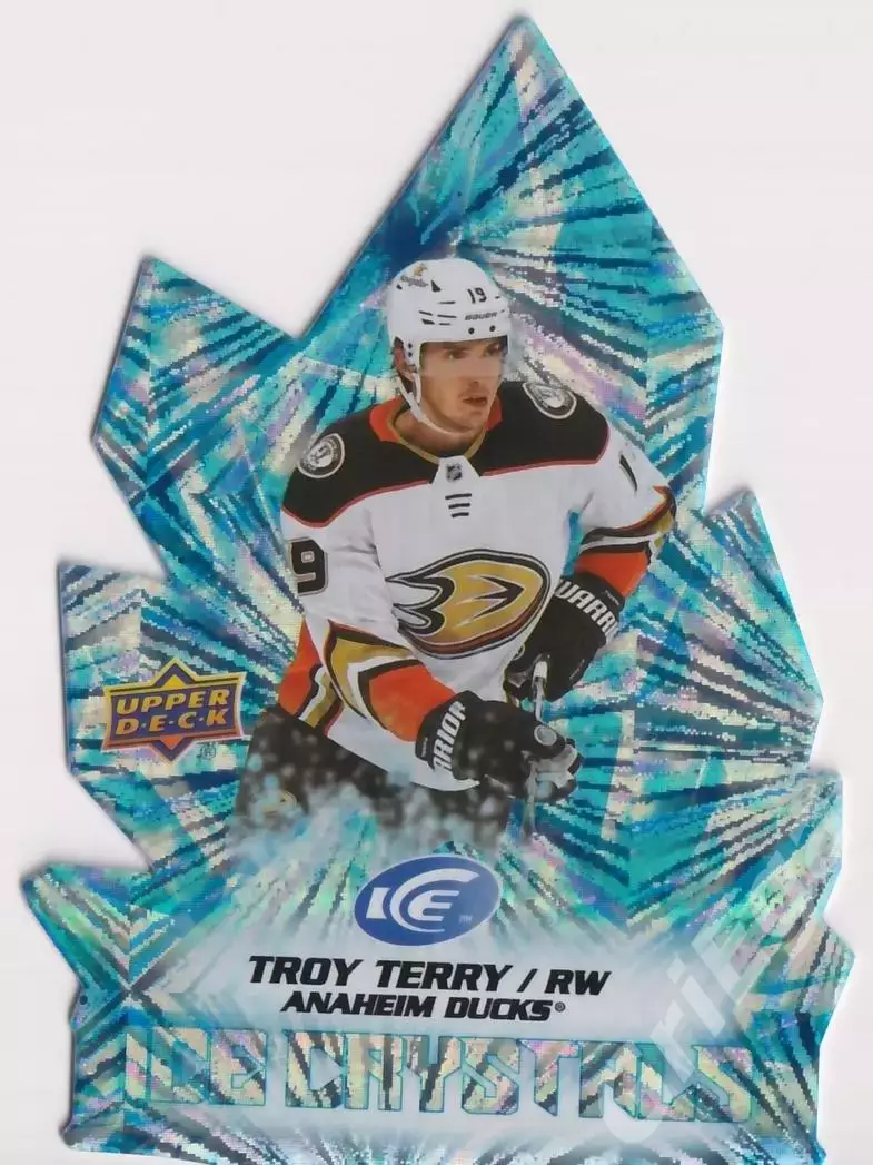 2022-23 Upper Deck Ice Hockey Troy Terry/Трой Терри (Anaheim Ducks)