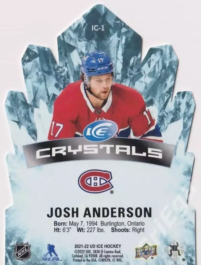 2021-22 Upper Deck Ice Hockey Josh Anderson (Montreal Canadiens) 1