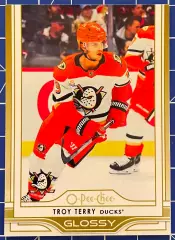 Хоккей карточка Troy Terry/Трой Терри (Anaheim Ducks/Анахайм Дакс)