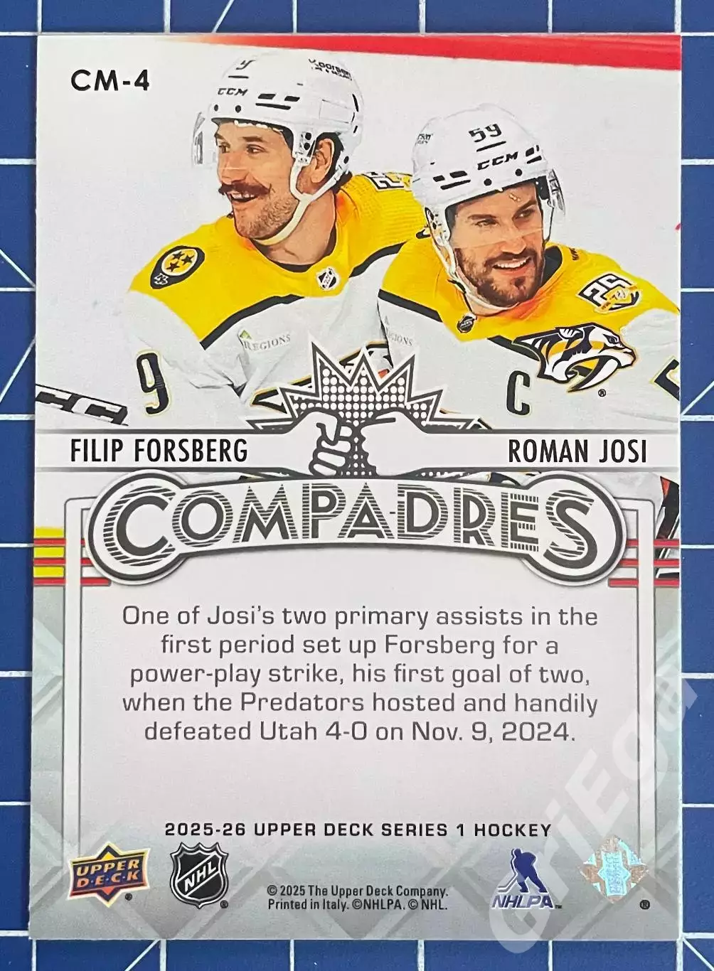 Хоккей карточка Filip Forsberg/Roman Josi Nashville Predators/Нэшвилл Предаторз 1