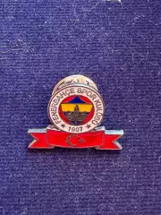 Фенербахче. Официальный знак.