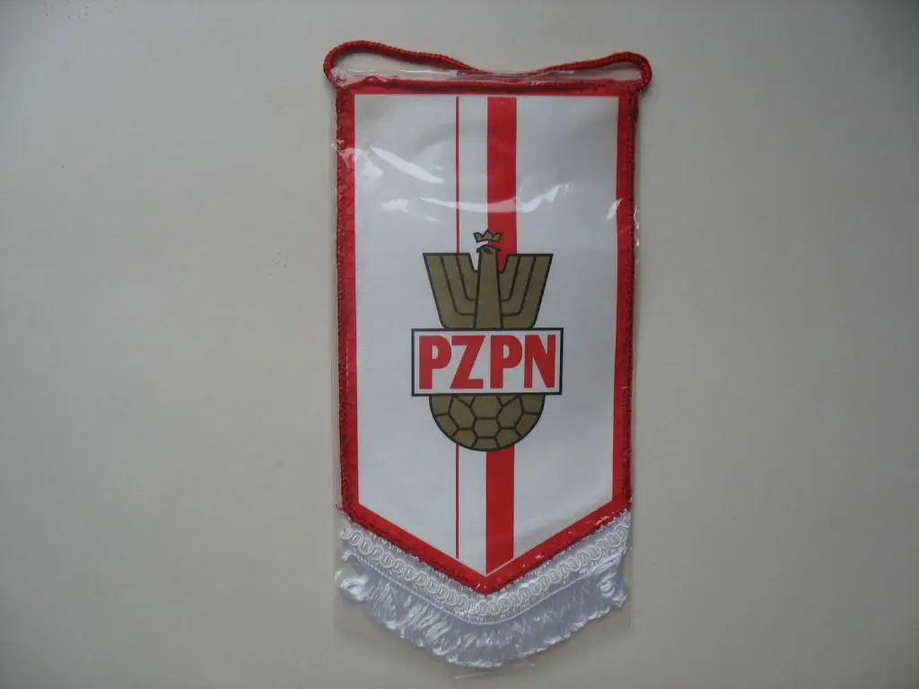 Польша. Футбол.