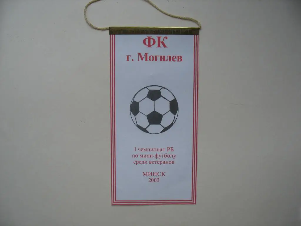 ФК Могилев, Беларусь. футбол.