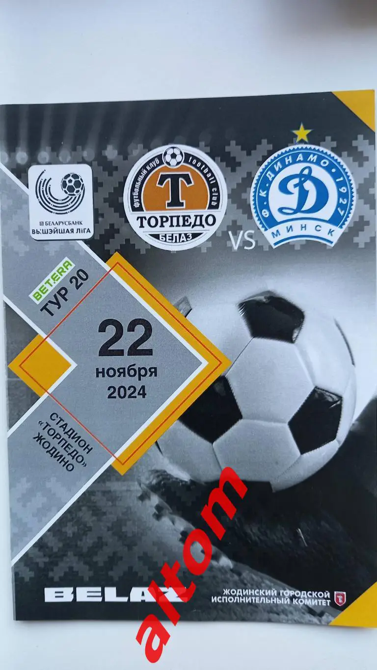 Торпедо Жодино 2024 Динамо Минск Беларусь