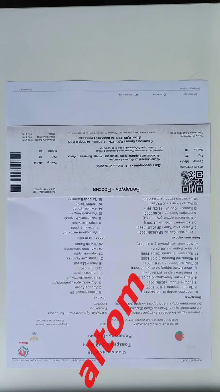 Беларусь Россия 2025 протокол +билет