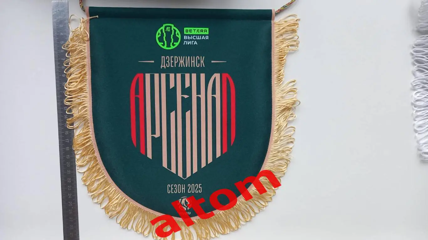 Арсенал Дзержинск Беларусь 2025 матчевый