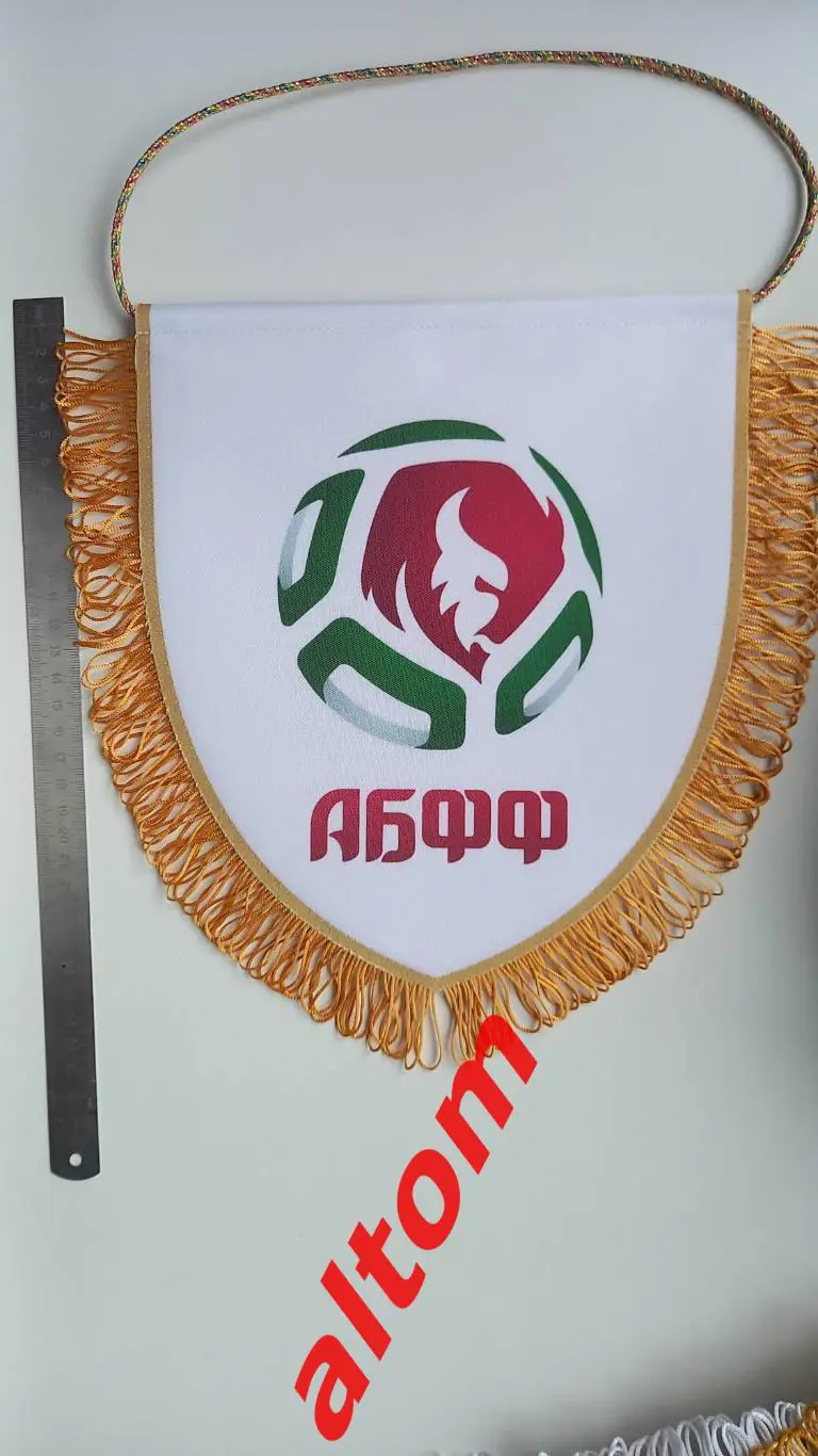 Федерация футбола Беларуси 2025