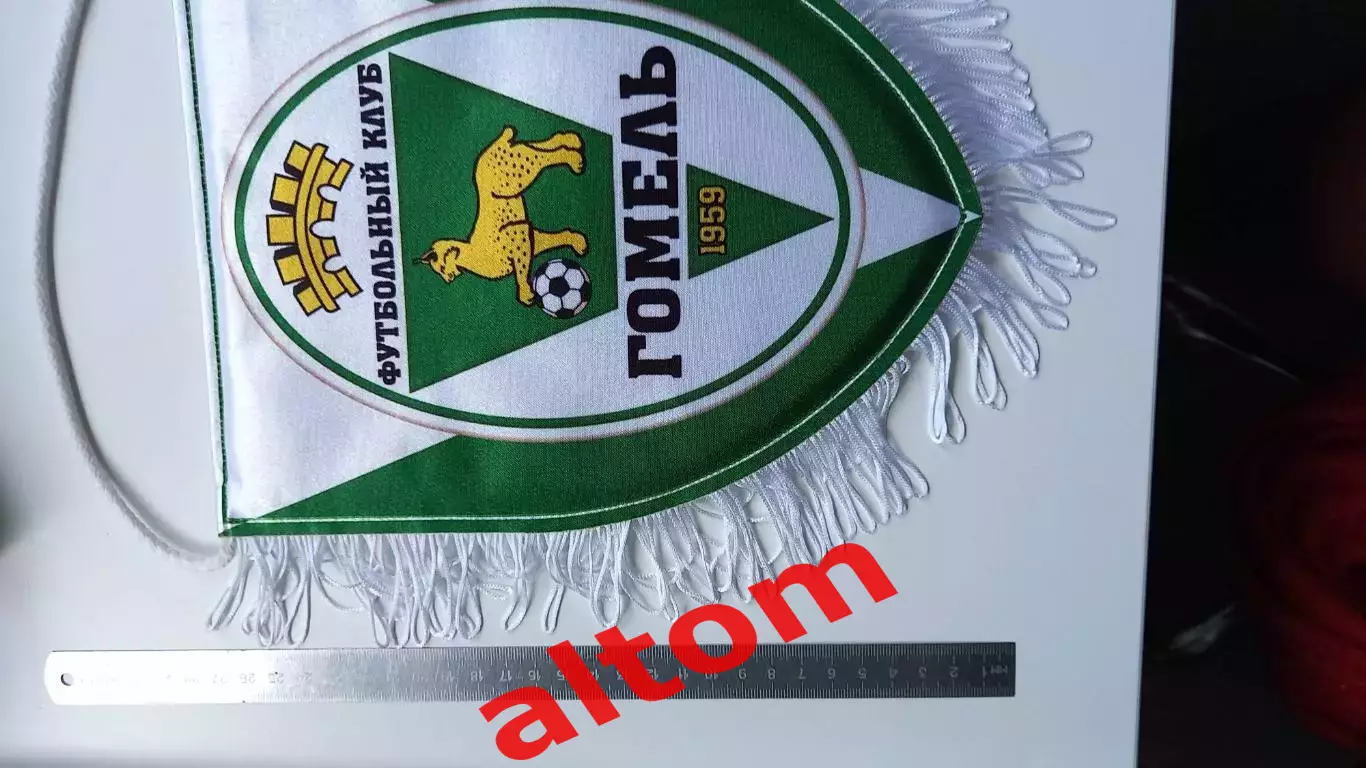 ФК Гомель 2025