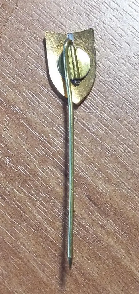 SP Zawisza Bydgoszcz Польша 1