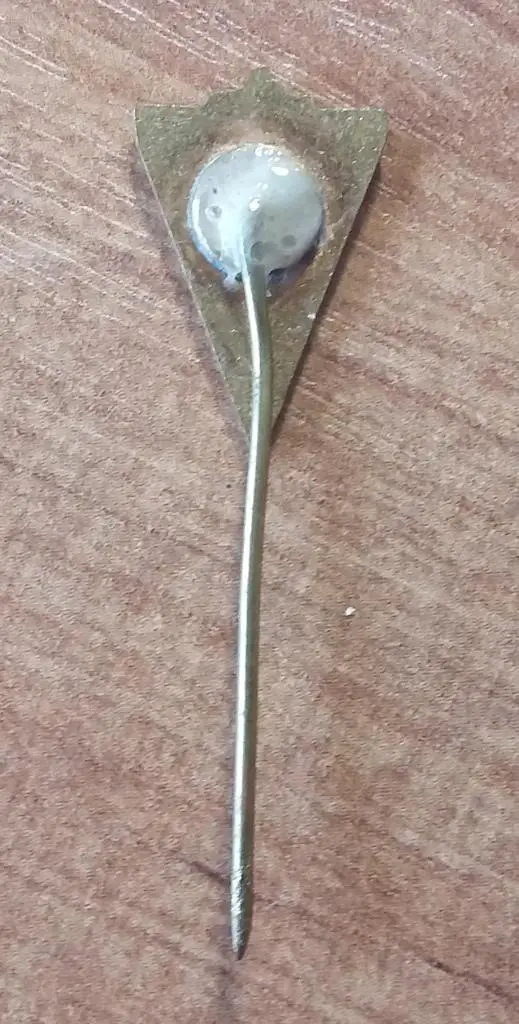 ФК Петролул Плоешти. Румыния. 1